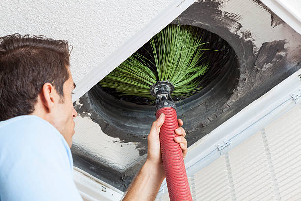 Best Professional Duct Cleaning Services  in Muenster, TX